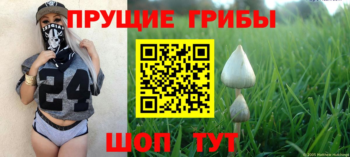 Дзержинский  Псилоцибиновые грибы Magic Shrooms  купить наркоту  Вход с VPN  Галлюциногенные грибы ЛСД 