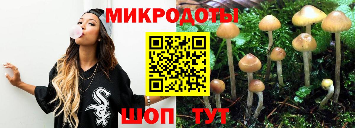 Псилоцибиновые грибы Magic Shrooms Дзержинский